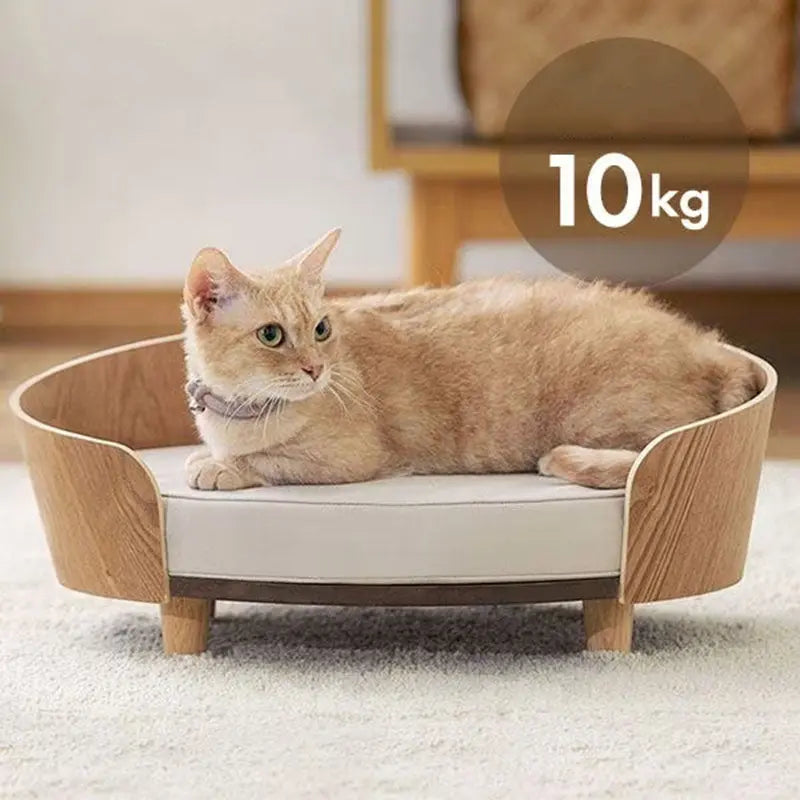 Mid-Century Modern Meets Feline Comfort kittyonly.com