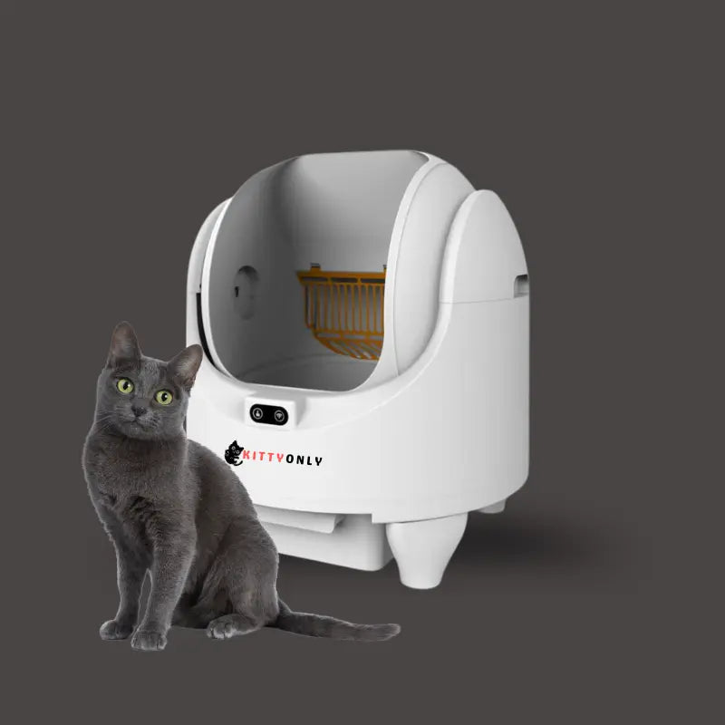 KittyOnly LitterSphere Dropshipman